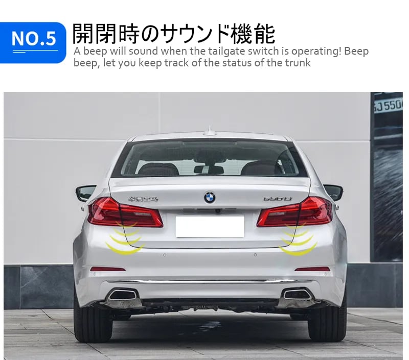 BMW 5 SERIES F10 535IX/E39/E60  電動パワーテールゲート  -FRD-1300