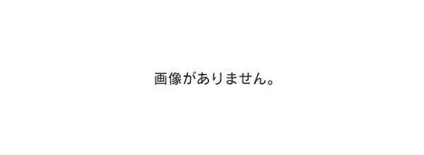 19インチ BLACK ホイール ( ４本セット ) アウディ A4 A5 A6 A7 A8 S4 S5 S6 S7 S8 RS4 RS5 　-DFO-1207